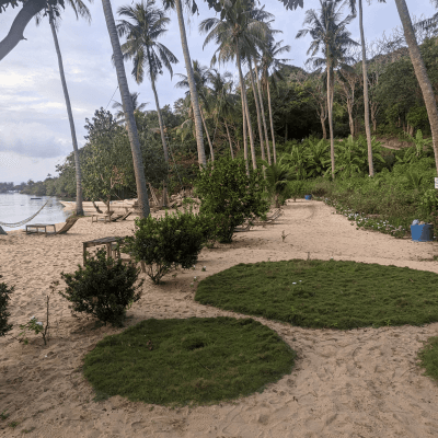 pxl 20250820 230309374 pxl 20250820 230309374