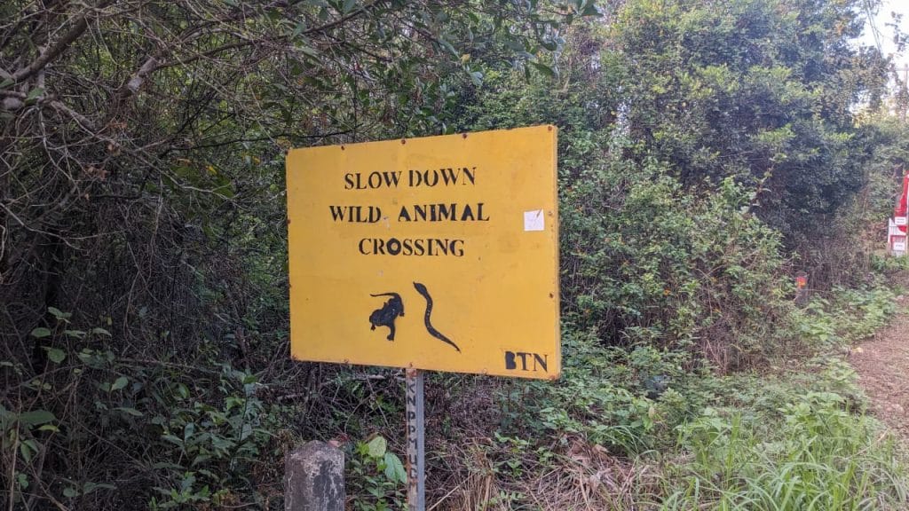 whatsapp image 2025 08 27 at 09.05.16 c2d21b20