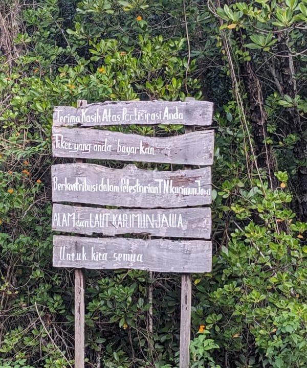 whatsapp image 2025 08 27 at 09.05.18 43d06f78