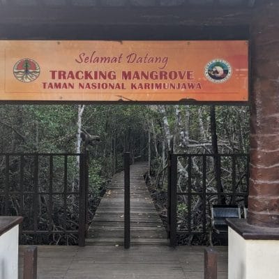 whatsapp image 2025 08 27 at 09.05.20 536ea8eb