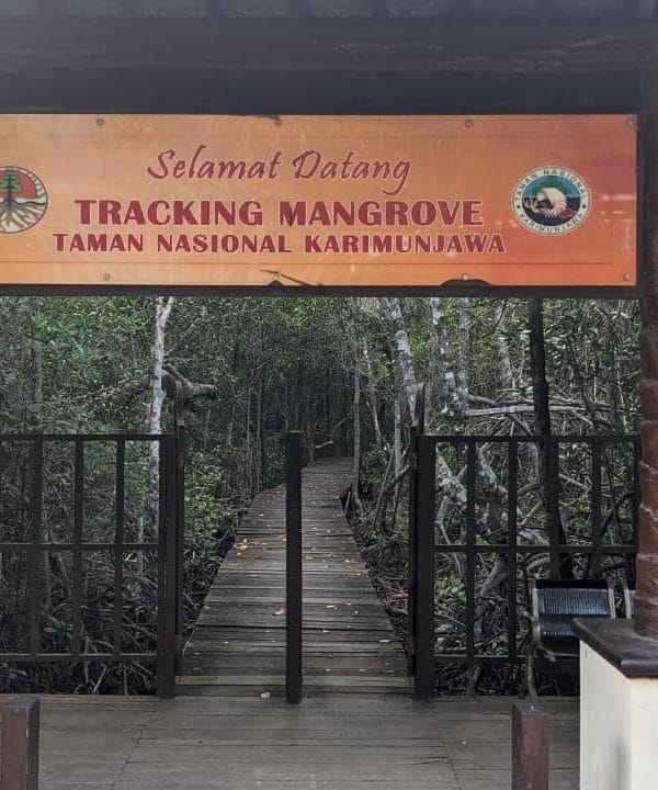 whatsapp image 2025 08 27 at 09.05.20 536ea8eb