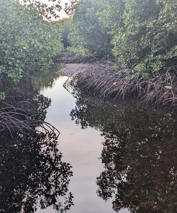 whatsapp image 2025 08 27 at 09.05.21 9c9253ac