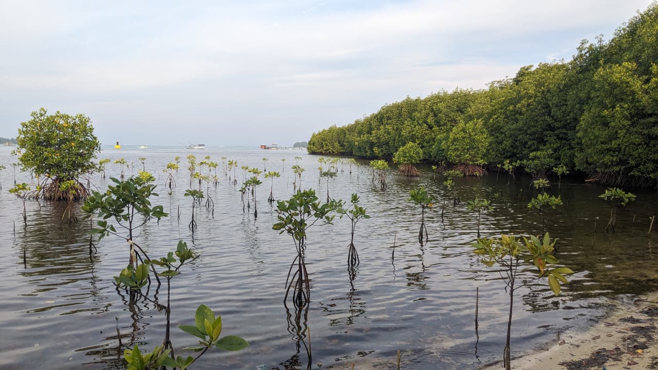 whatsapp image 2025 08 27 at 19.18.11 7b677862